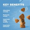 Hemp Calming Chews for Dogs Dog Calming Treats Anxiety Relief for Dogs with L Theanine Chamomile Extract Valerian Root Dog Anxiety Relief for Travel V